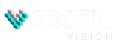 VoxelVision.ai